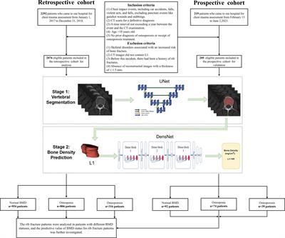 Traumatic rib fracture patterns associated with bone mineral density statuses derived from CT images